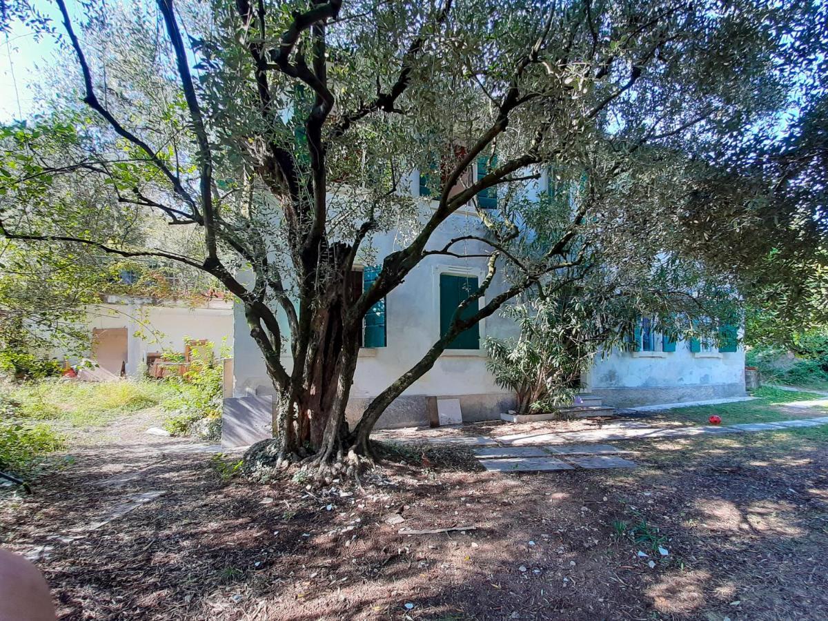 Villa Ca Del Vajo Valpolicella House Negrar Exterior foto