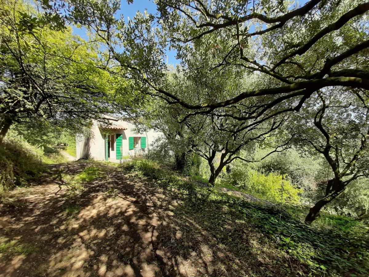 Villa Ca Del Vajo Valpolicella House Negrar Exterior foto